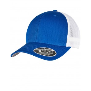 Flexfit 110 Mesh 2-Tone Cap