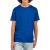 Jerzees Premium Organic T - Royal - L